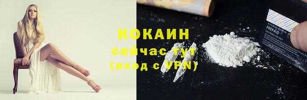 spice Гусь-Хрустальный