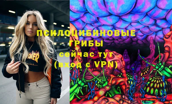 spice Горнозаводск