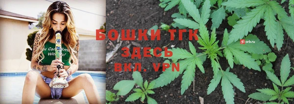 spice Горнозаводск